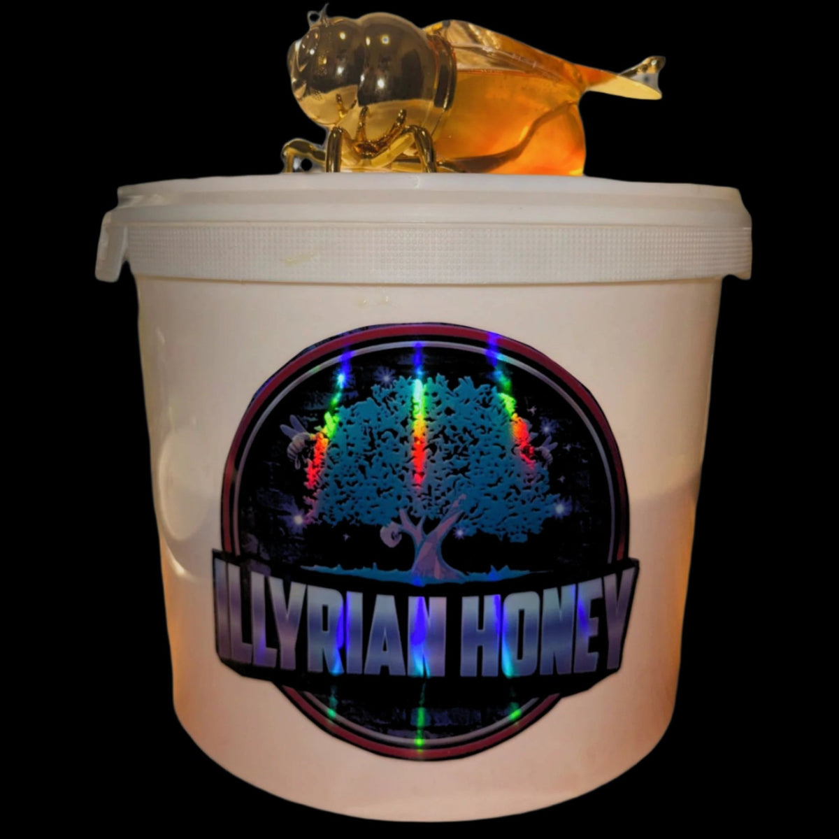 Honey from the Hive - Acacia Honey & Blossom Honey 10 kg